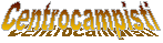 Centrocampisti