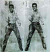 Andy Warhol - doppio Elvis - 1963, collezione privata.