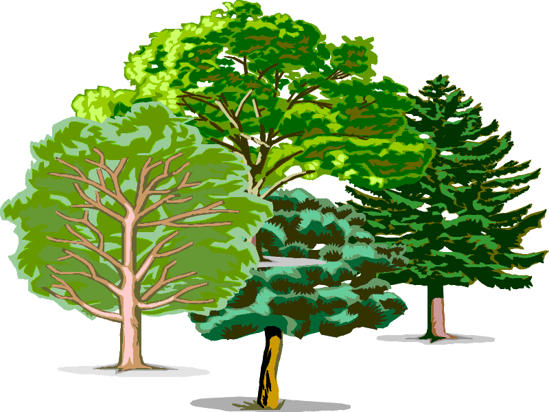 alberi.GIF (59599 byte)