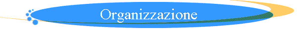 Organizzazione