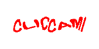 CLICCAMI.gif (6875 byte)