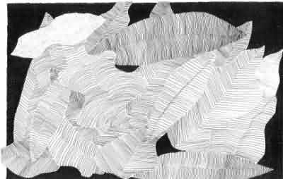 FogliA5.jpg (10861 byte)
