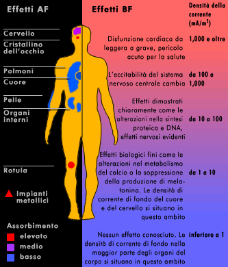 Effetti sul corpo umano