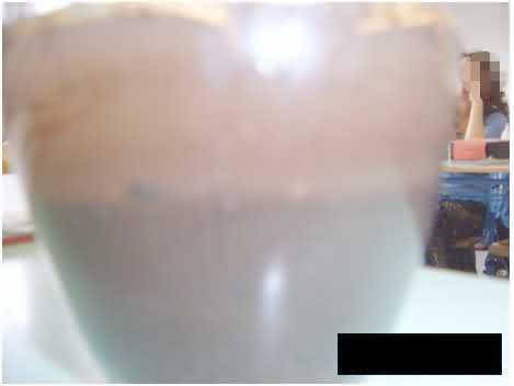TerraAcqua23.jpg (7547 byte)
