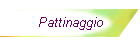 Pattinaggio