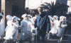 foto6.gif (190338 byte)