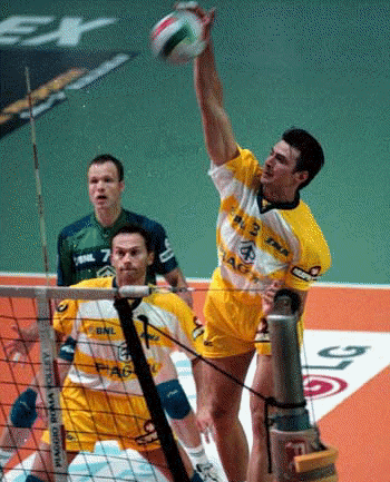 grbic.gif (95805 byte)