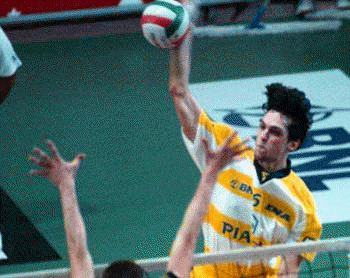 saraceni.gif (58848 byte)