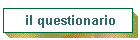 il questionario