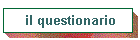 il questionario